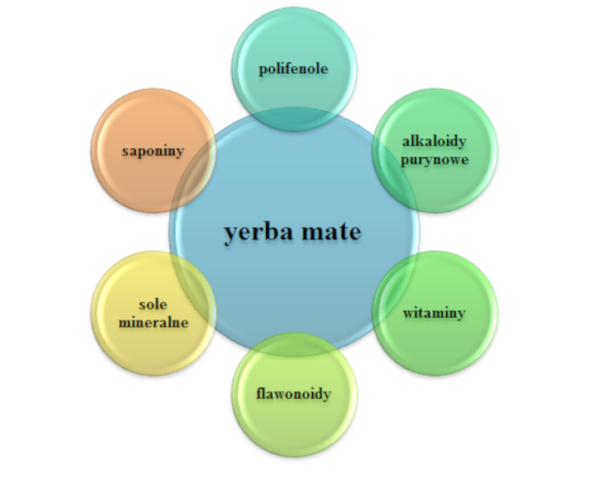 Skład chemiczny Yerba Mate