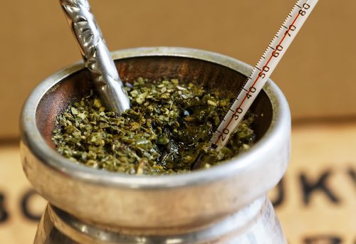 temperatura parzenia yerba mate