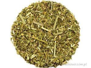 Yerba Mate Cytrynowa