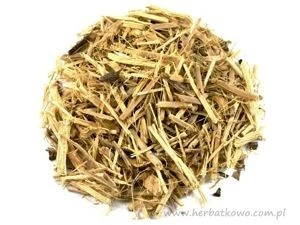 Żeń-szeń syberyjski kłącze cięte