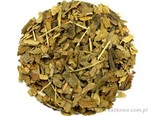 Ginkgo biloba – liść miłorzębu japońskiego