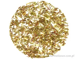 Zielony rooibos organiczny