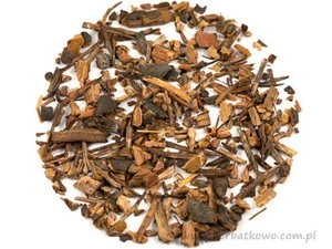 Sarsaparilla meksykańska