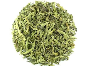 Werbena cytrynowa liść cięty - Verbena officinalis