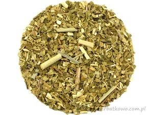 Yerba Mate Kaktusowa