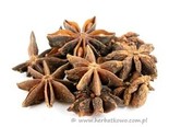 Anyż gwiaździsty cały – Illicium verum